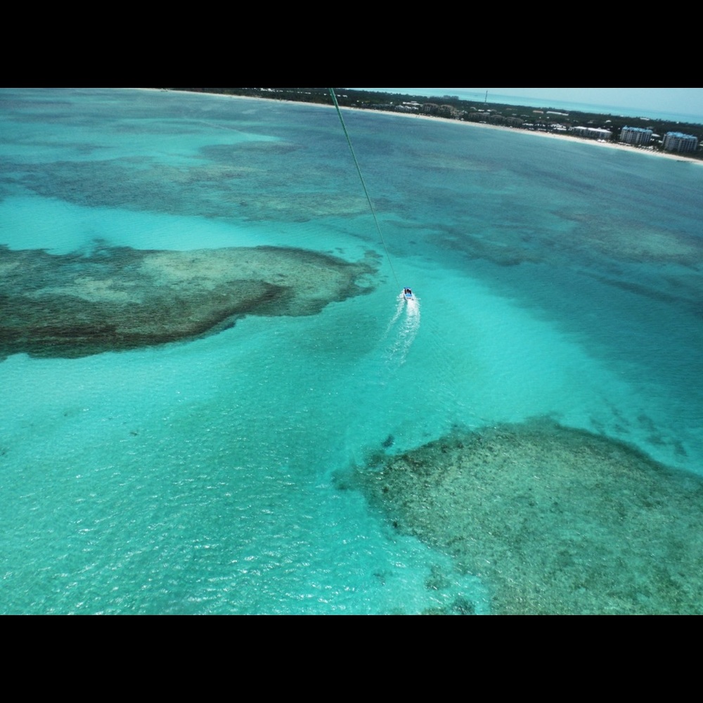 Meet your Posher, Liz